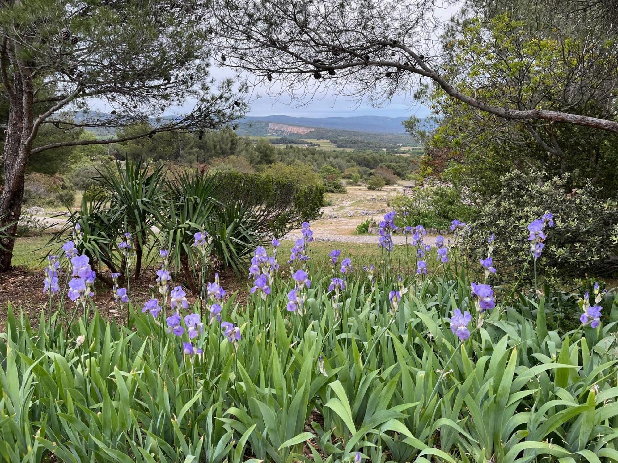 Lovely Views In Secret Provence Joucas Eksteriør billede